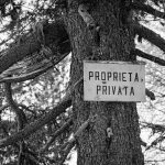 grayscale photo of no smoking sign on tree