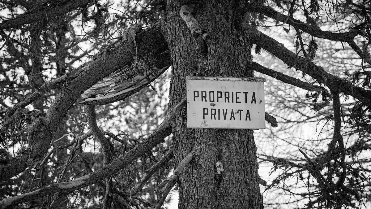 grayscale photo of no smoking sign on tree